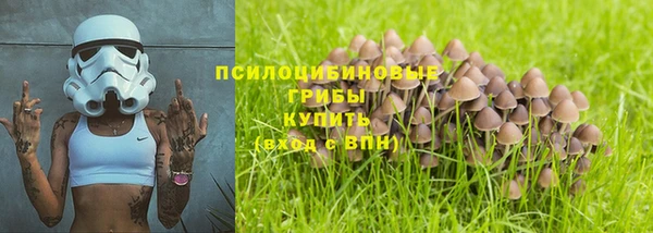 спиды Волоколамск