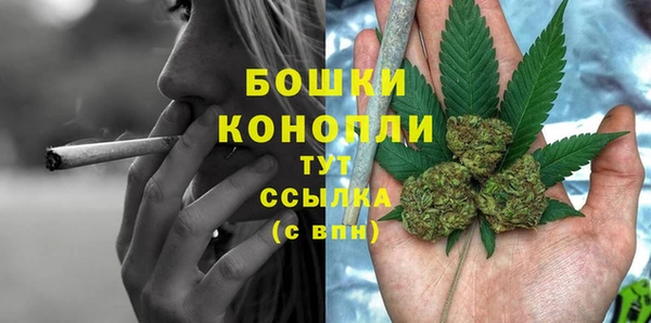 мдпв Володарск