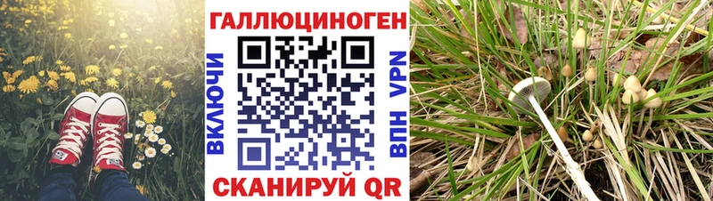 Псилоцибиновые грибы мицелий  Купить закладки  Ворсма 